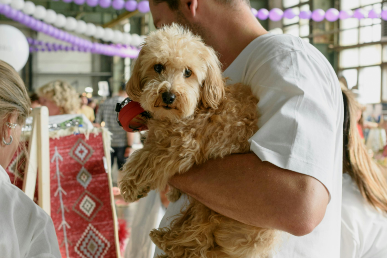 L’Importance de la Socialisation chez les Chiots